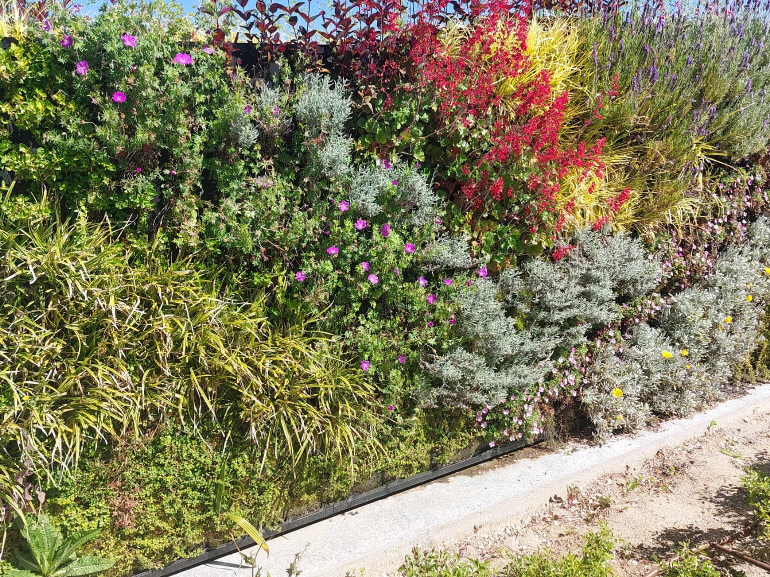 Proyectos de Jardinismo en Madrid