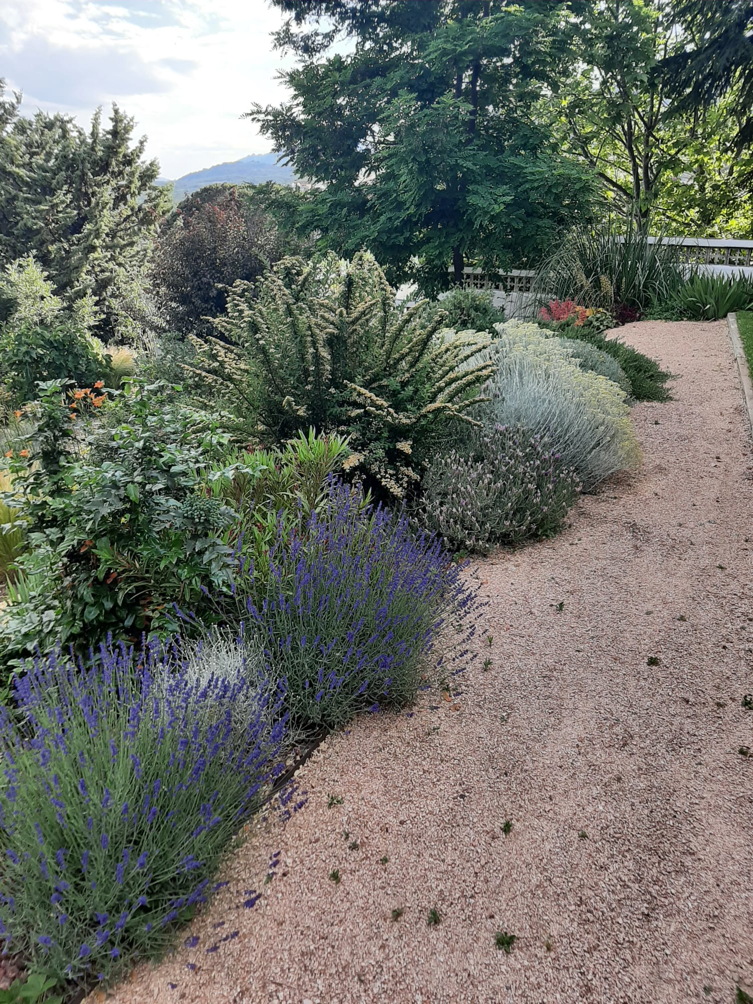 mantenimiento de jardines en Madrid